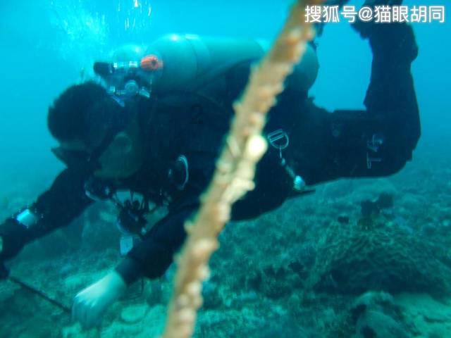 智能汽车拼图