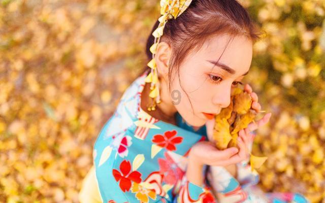 贪吃鼠吃豆豆